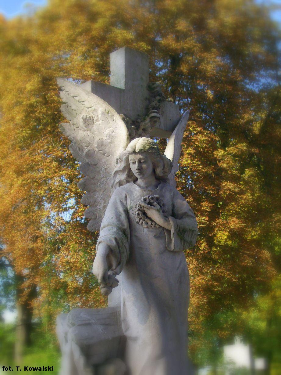 Sierpecki cmentarz, 28.09.2008