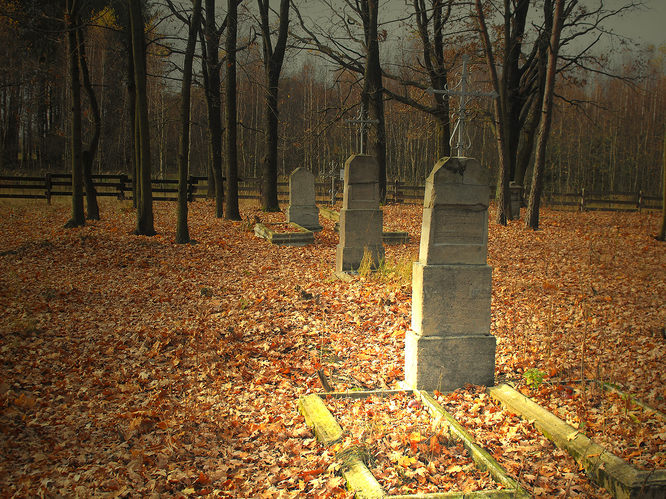 Cmentarz Ewangelicki w Czartowni-Józefowie,  27.10.2013 r.