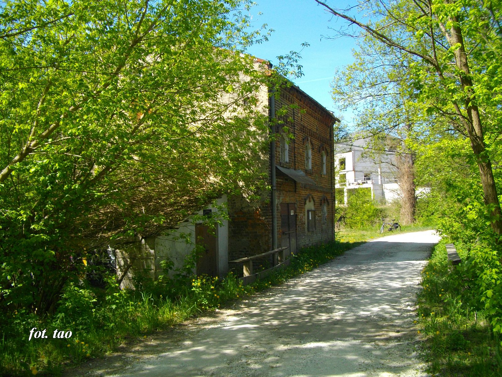 Myn w Borkowie Kocielnym (nieczynny). Na fotografii droga wjazdowa od strony Borkowa, ul. Myska, maj 2025 r.