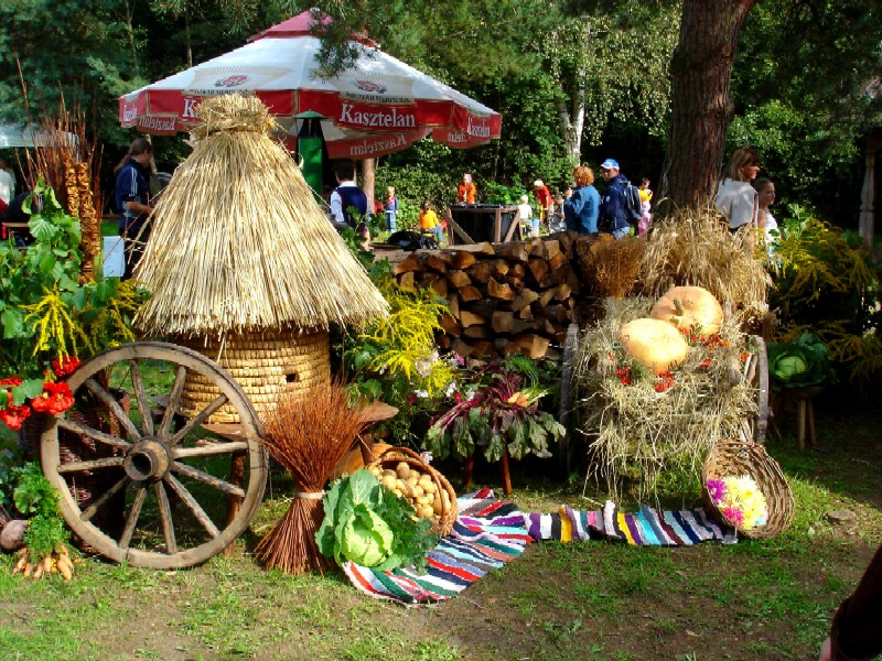 Wykopki w Skansenie 2006. Dekoracja.