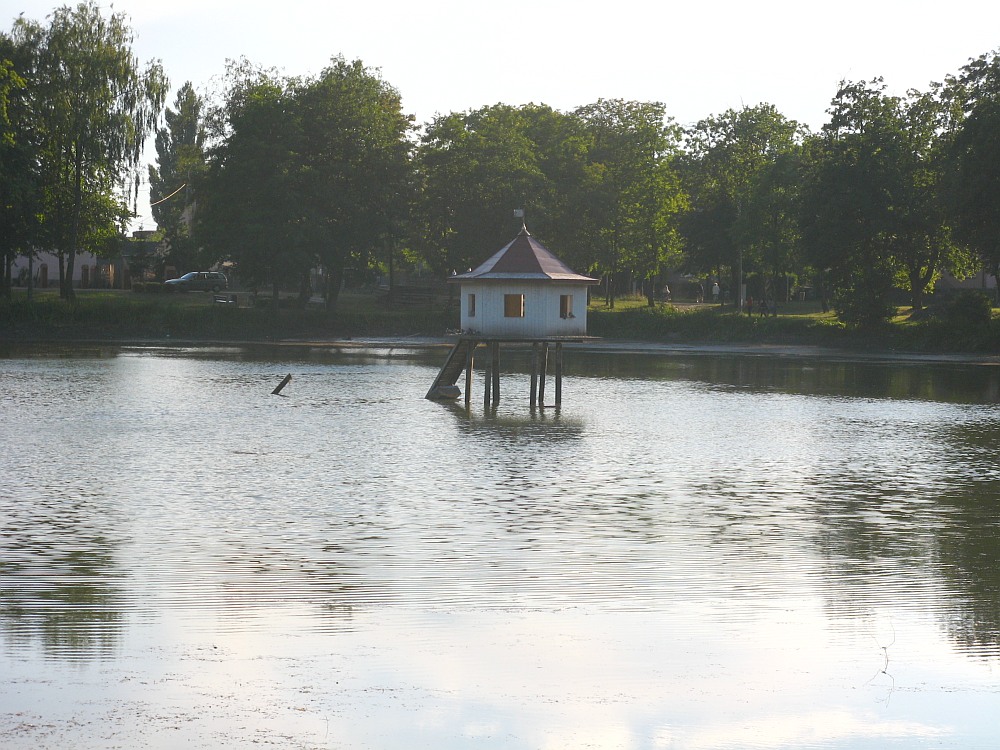 Jezirka - Domek dla ptakw - wody coraz mniej, 5 lipca 2008 r.
