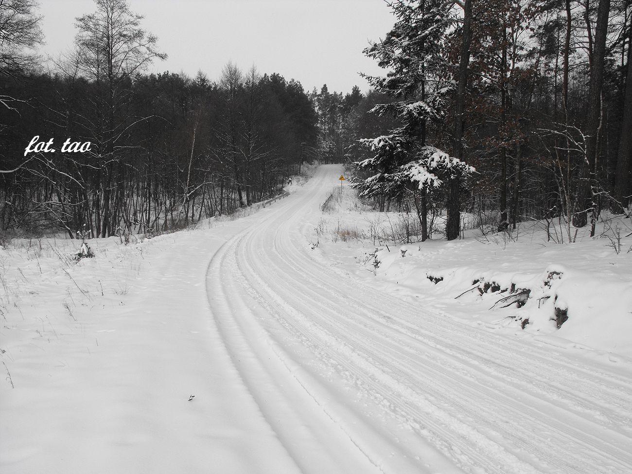 Zima w Dobaczewskim lesie. Na zdjciu szosa w kierunku ochowa koo Sierpca, 27.01.2014 r.