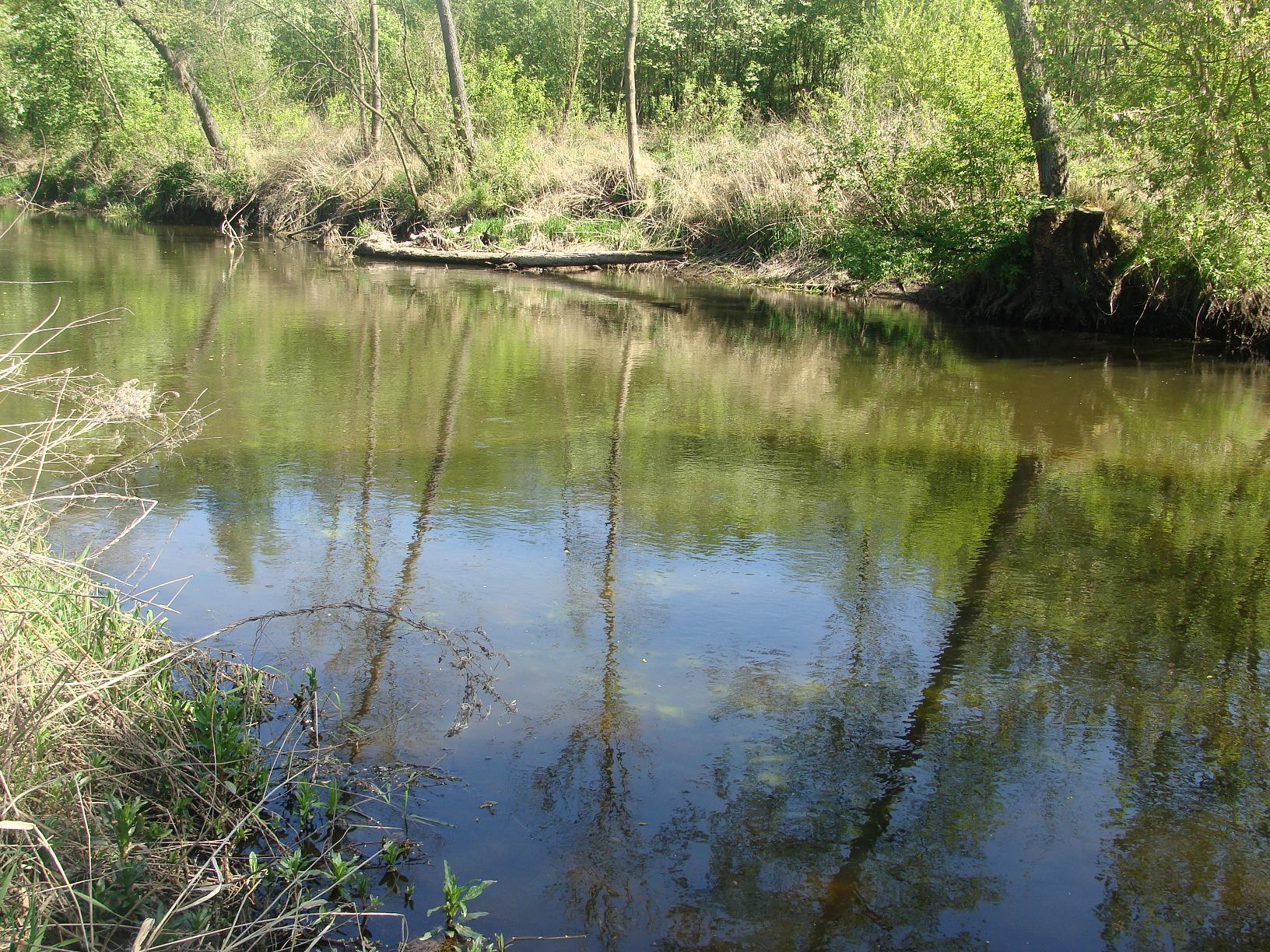 Rzeka za Mieszczkiem, 2.05.2009 r.