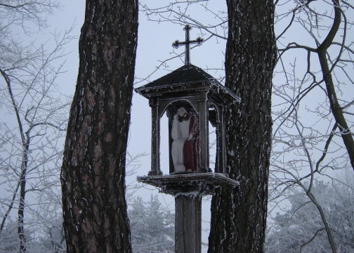 Mrony porane­k/Skansen 