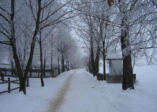 Mrony porane­k/Skansen 