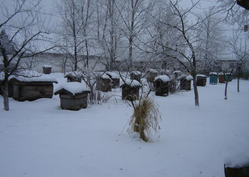Mrony poranek/Skansen 