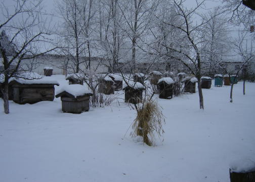 Mrony porane­k/Skansen 