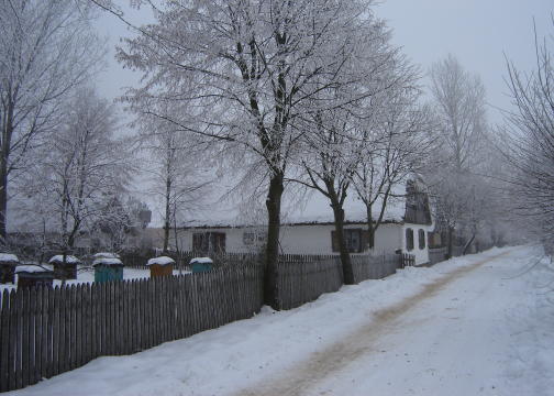 Mrony porane­k/Skansen 