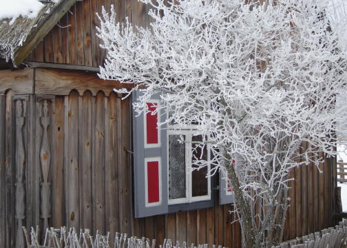 Mrony porane­k/Skansen 