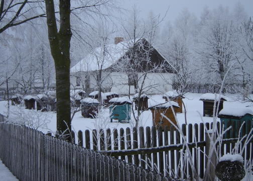 Mrony poranek/Skansen 