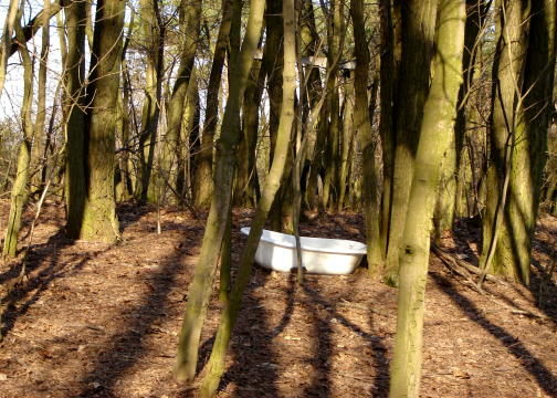 Ekologiczna łazienka odkryta w lesie w Mieszczku.