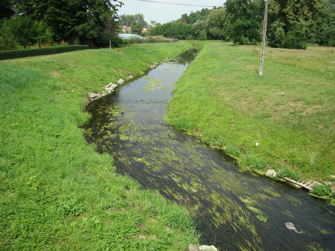 Widok na Sierpienic z mostu za Kocioem Farnym, wrzesie 2008 r.