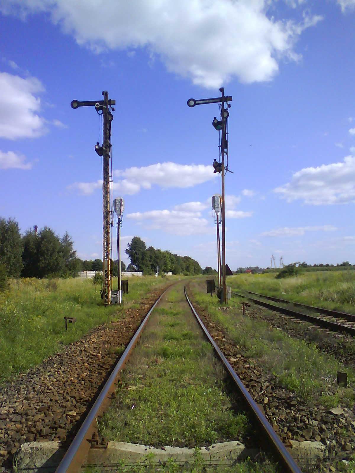 Semafory wjazdowe. Jadc z Nasielska to prawy, a jadc z Kutna to lewy. Z kierunku zrobionego zdjcia te semafory nie obowizuj, 3.08.2011 r.