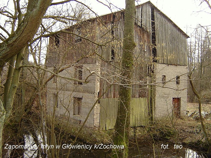 G��wienica nad Skrw� k/�ochowa