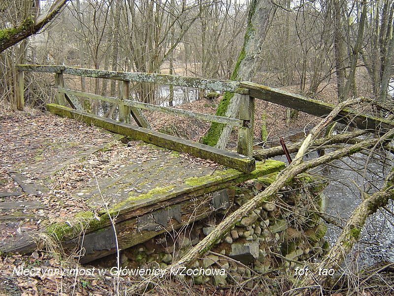 Główienica nad Skrwą k/Żochowa