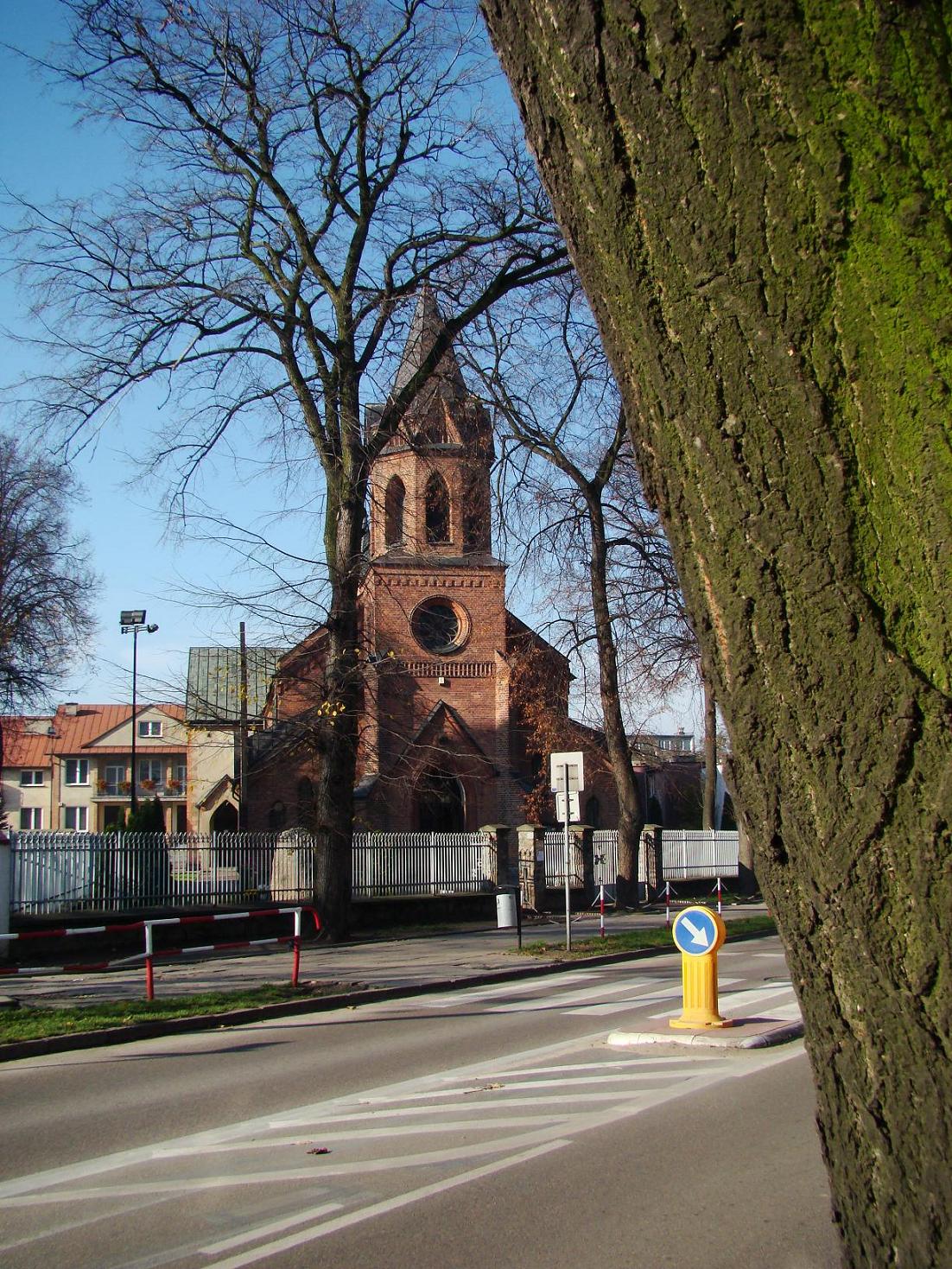 Koci Szkolny, 1.11.2008 r.