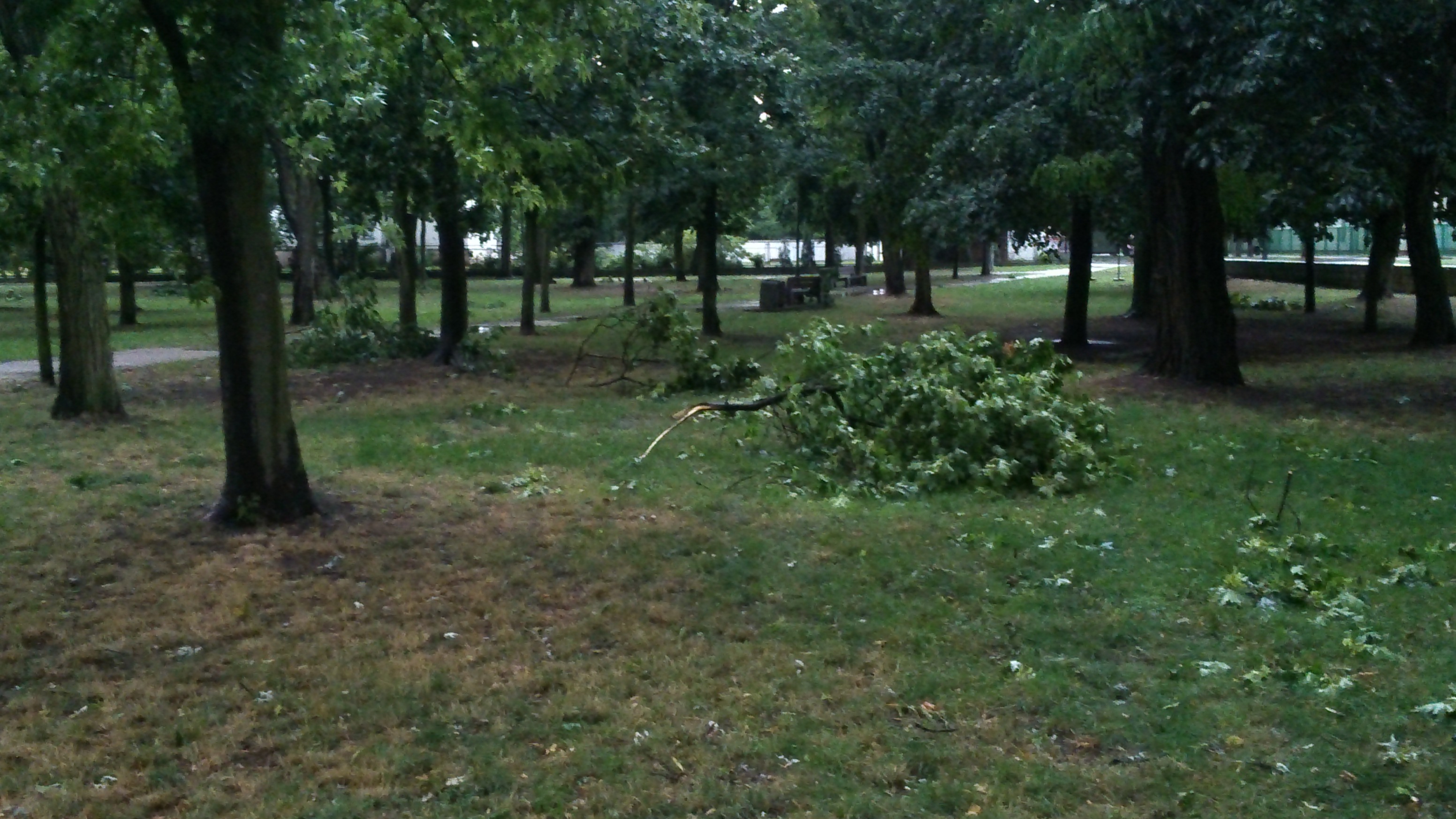 Park im. Andersa po potnej wichurze