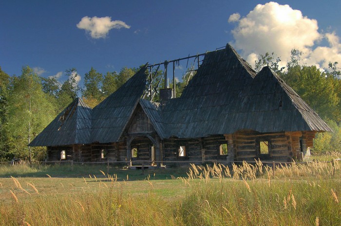 Rozogi...
