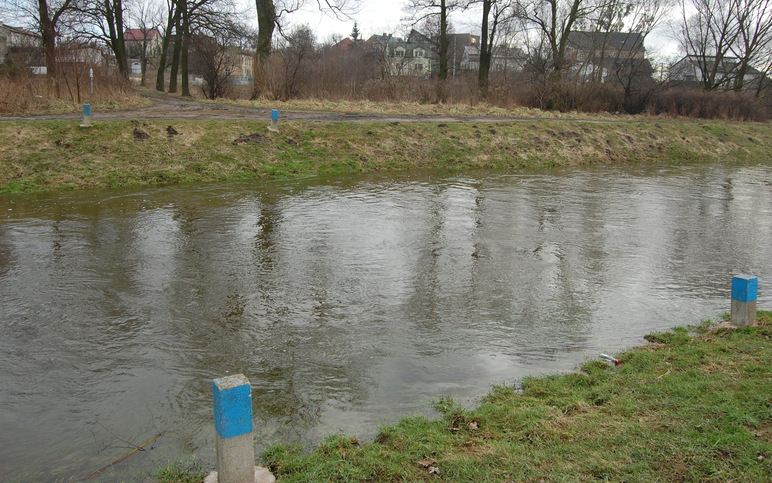 Błękitne słupki wyznaczają miejsce po dawnym moście na Sierpienicy, który prowadził z browaru rodziny Pehlke do widocznej w oddali, za szpalerem drzew, lodowni, luty 2011 r.