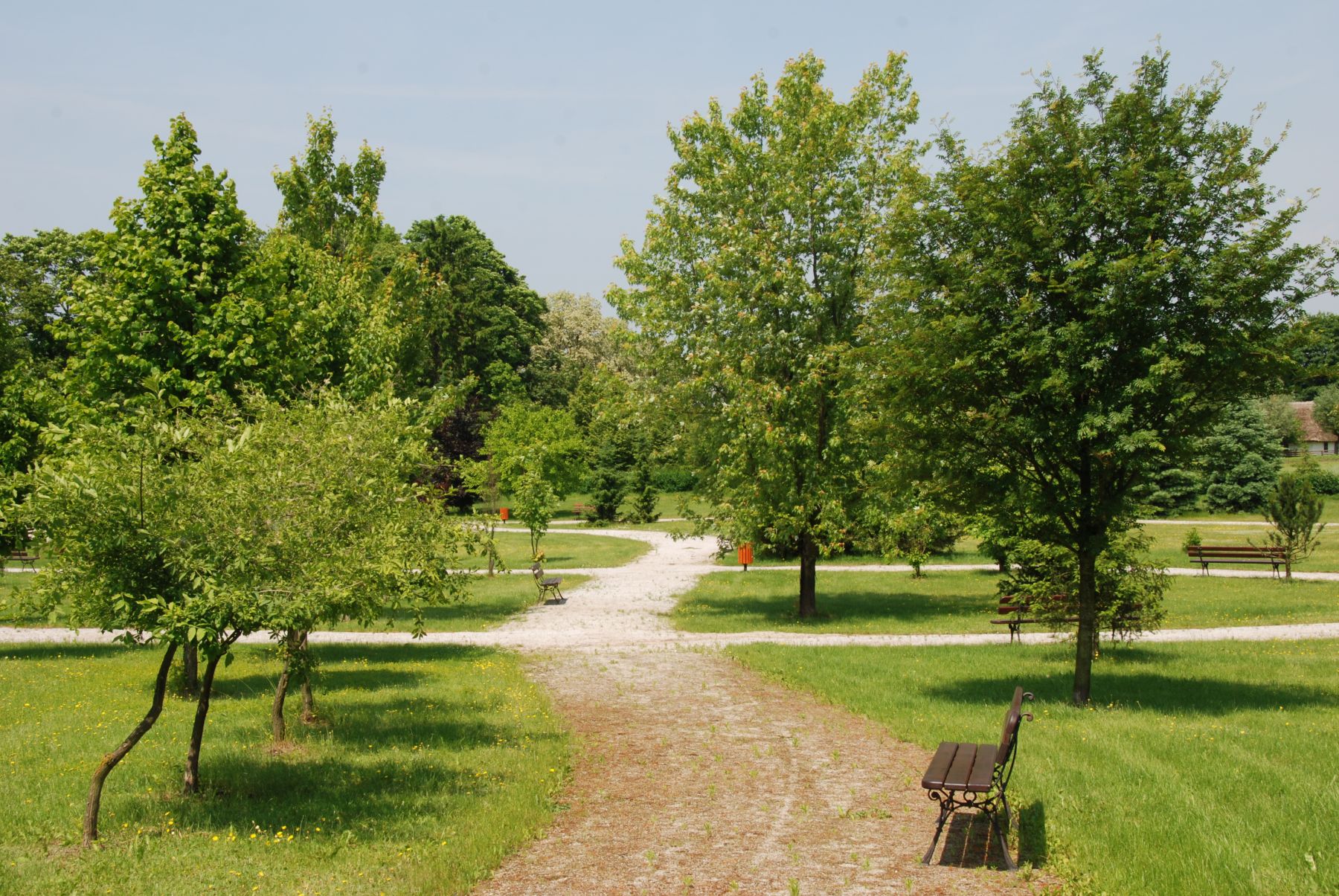 Park dworski na terenie Muzeum Wsi Mazowieckiej w Sierpcu, maj 2011 r.