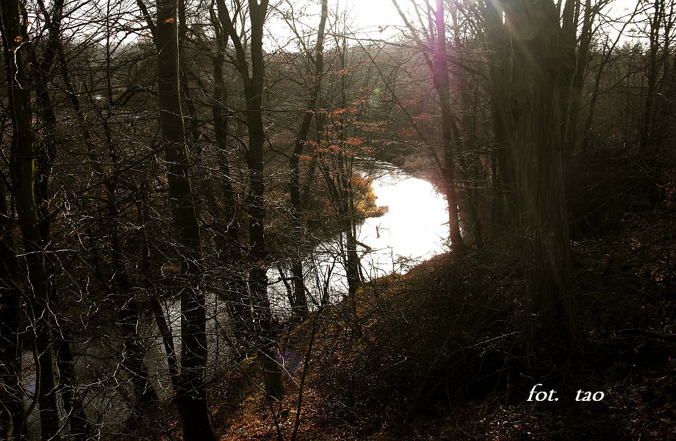 Zakola Skrwy na wysokoci Sulkowa Rzecznego gm. Mochowo, 29.11.2009 r.