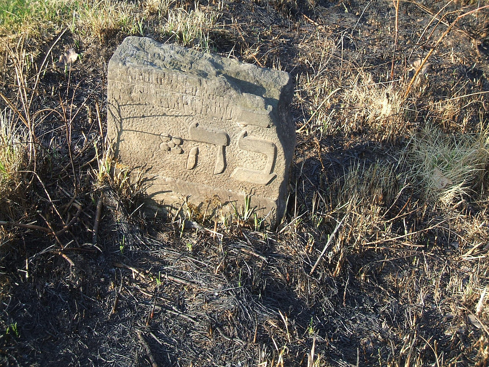 Macewy na sierpeckim Kirkucie - stan 21 kwietnia 2008 r.