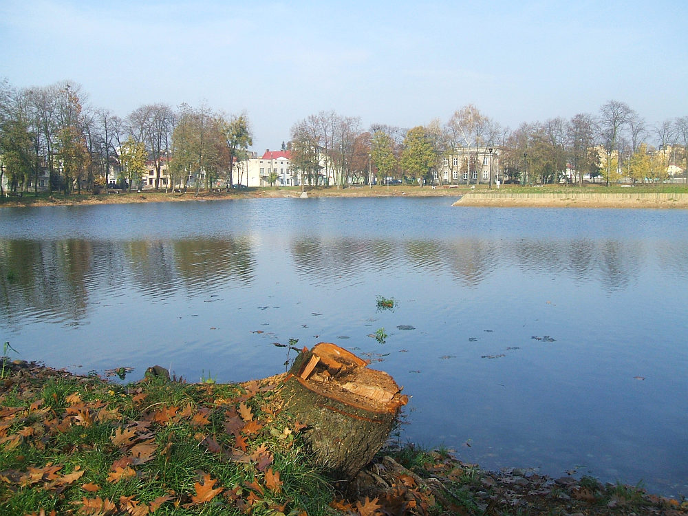 Jezirka po wycince drzew przy brzegach, 26.10.2008 r.