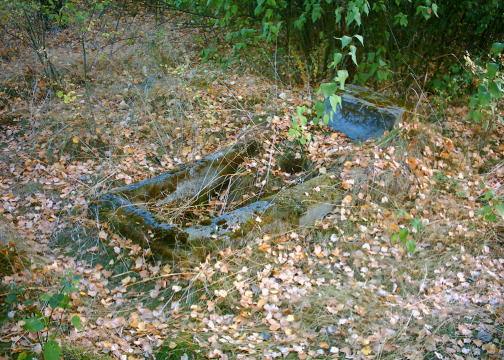 Cmentarz ewangelicki w Oswce k/Sierpca, 9.09.2005 r.