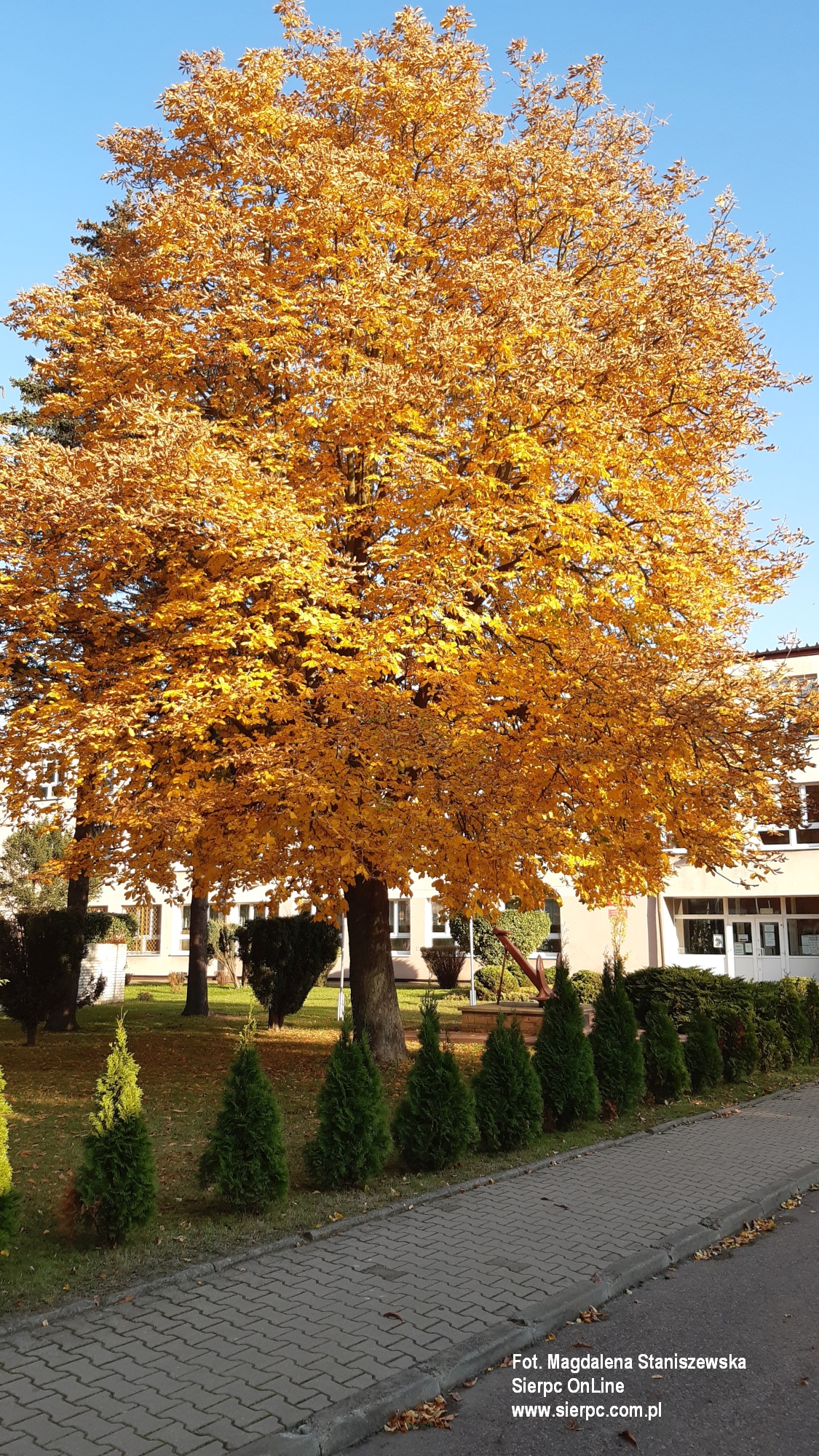 Zesp Szk nr 2 w Sierpcu w jesiennej odsonie, 25.10.2020 r.