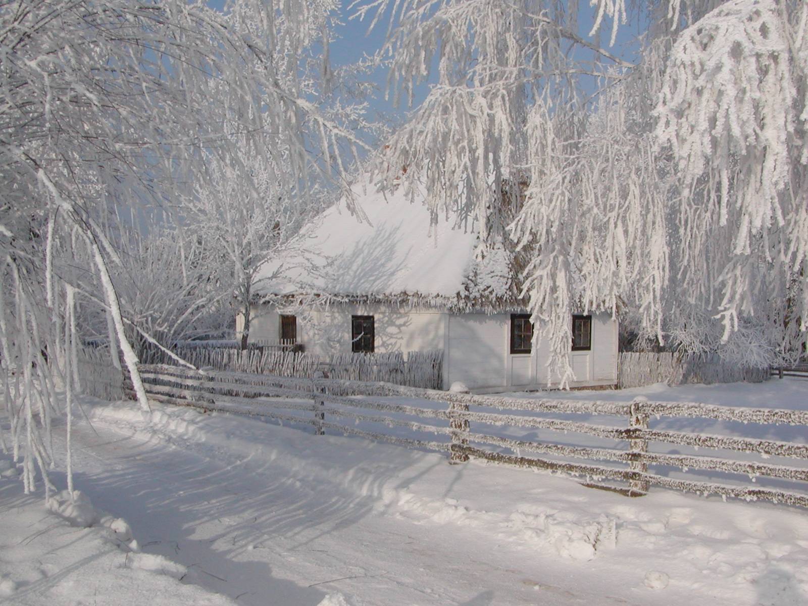 Zima w skansenie, 2010 r.