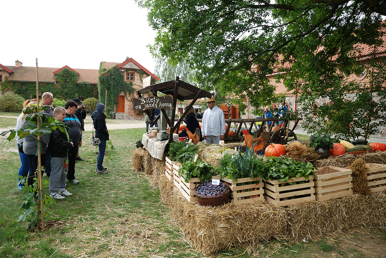 Wykopki w skansenie, 6.09.2015 r.