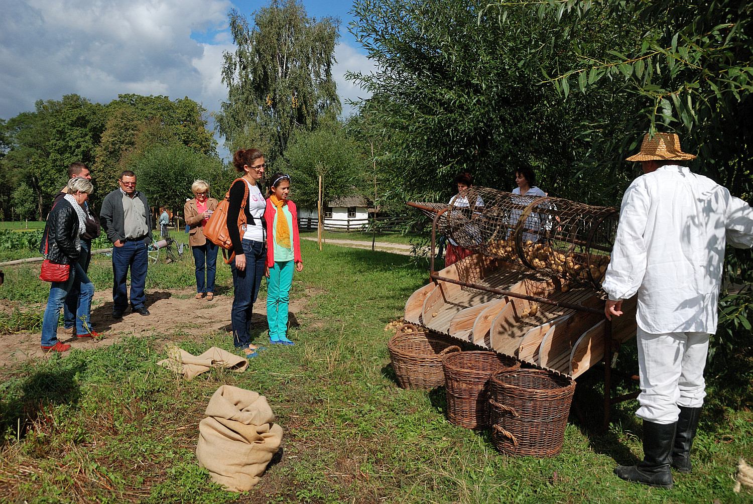 Wykopki w skansenie, 2013 r.