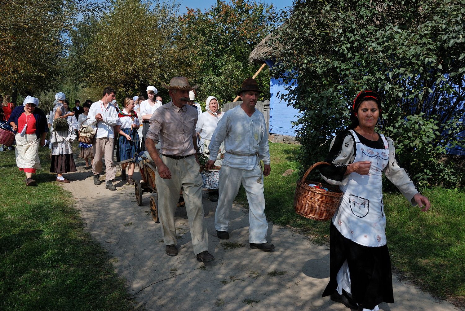 Wykopki w skansenie, 7.09.2014 r.