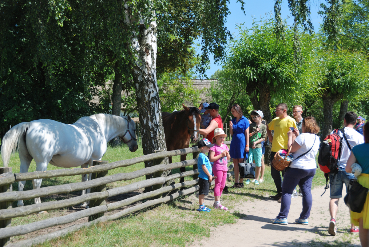 Dzie Dziecka w skansenie 2016