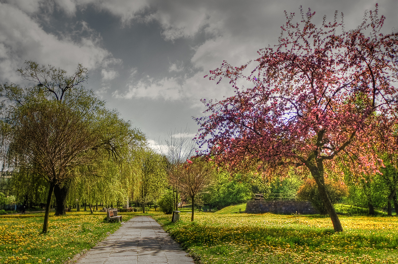 Wiosna w miecie, 28.04.2014 r.