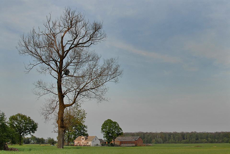 Wie Grodkowo, 8.05.2009 r.