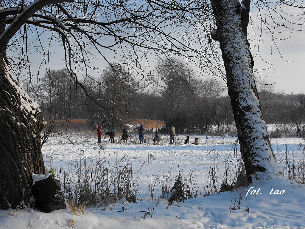 Zimowy pow na Skrwie przy mynie w Nadolniku, 19.12.2010 r.