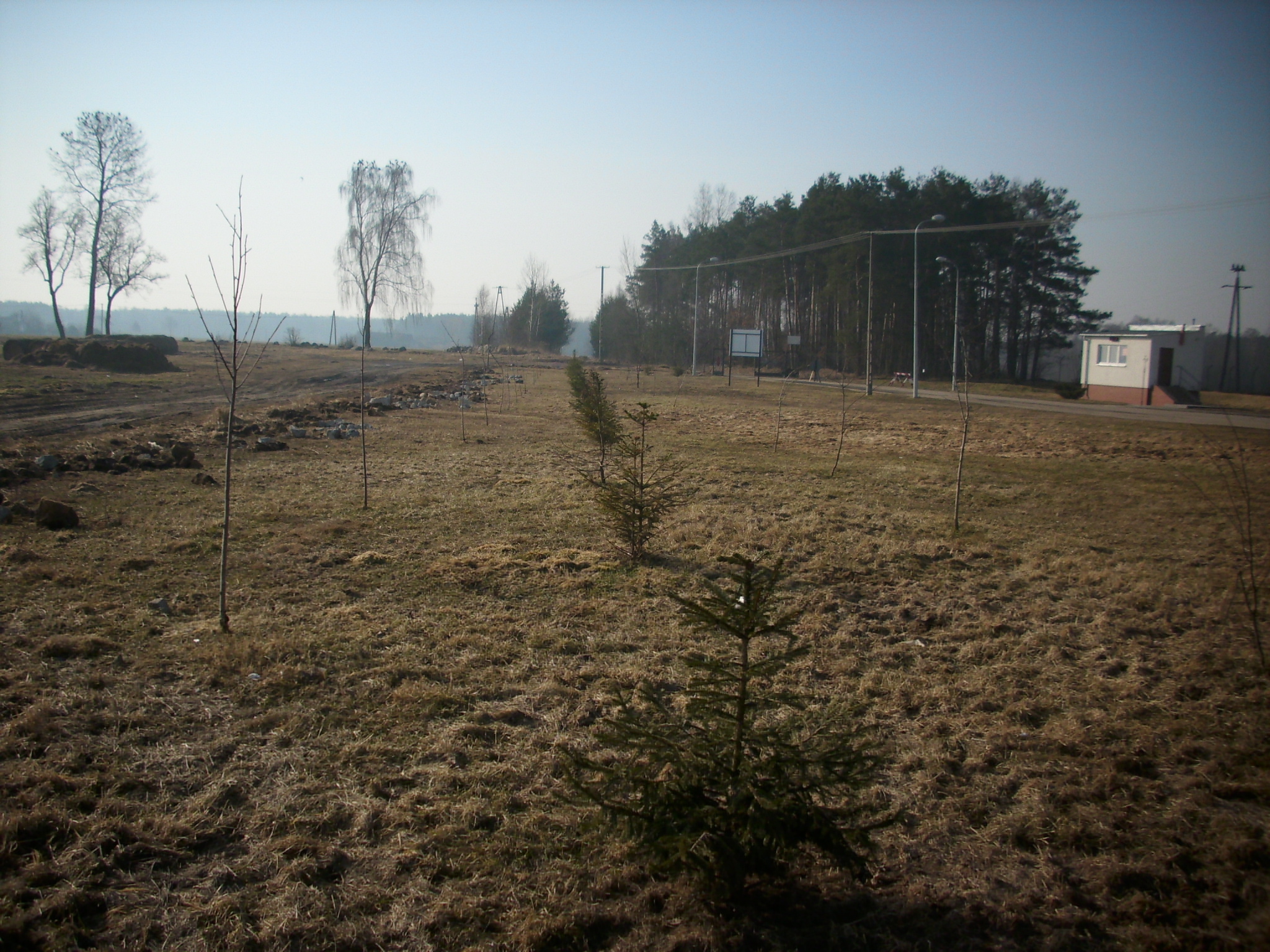 Pas ochronny skadowiska azbestu i odpadw komunalnych w Rachocinie, marzec 2011 r.