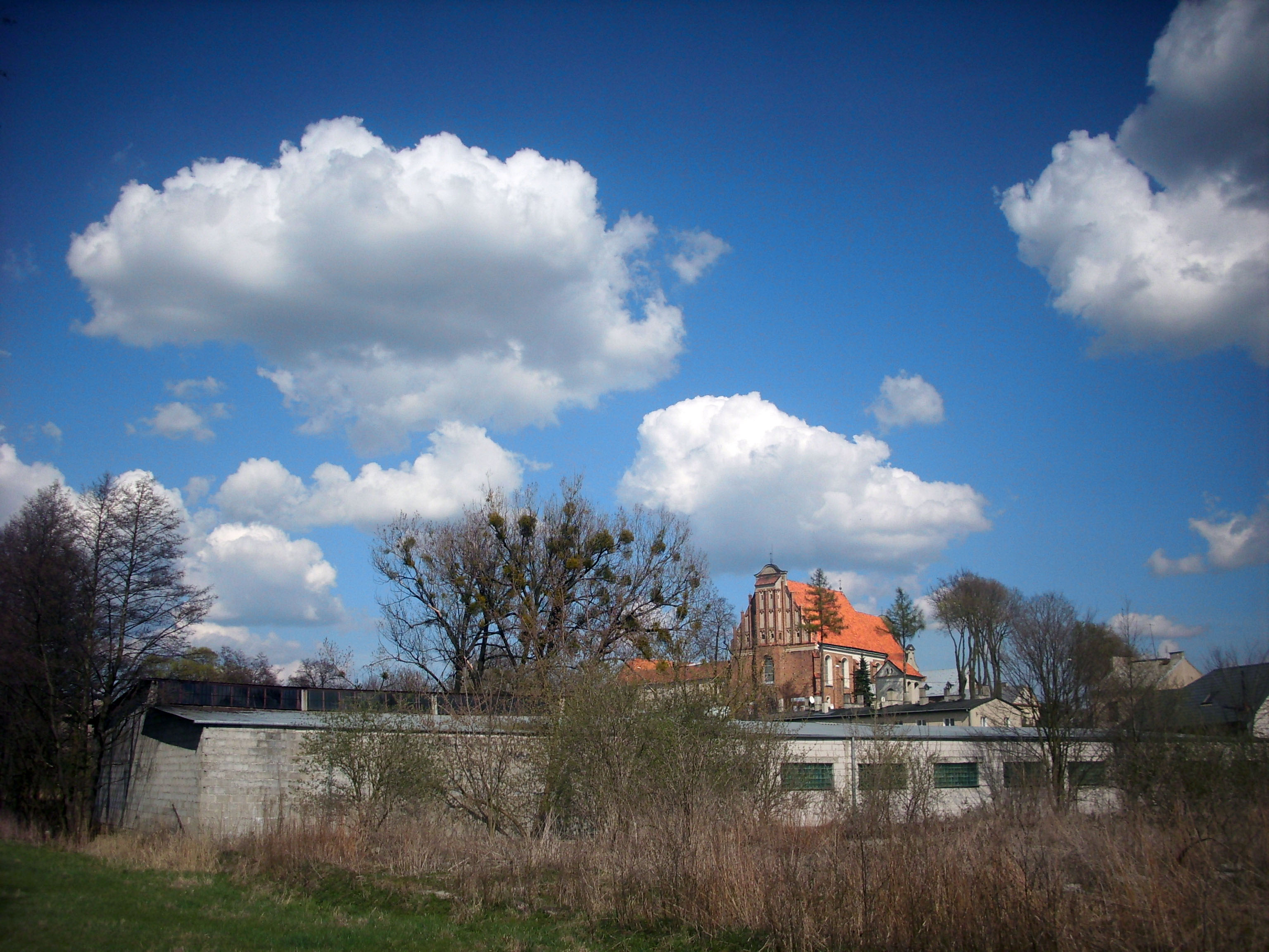 Wiosna w peni. W oddali Klasztor, 22.04.2012 r.