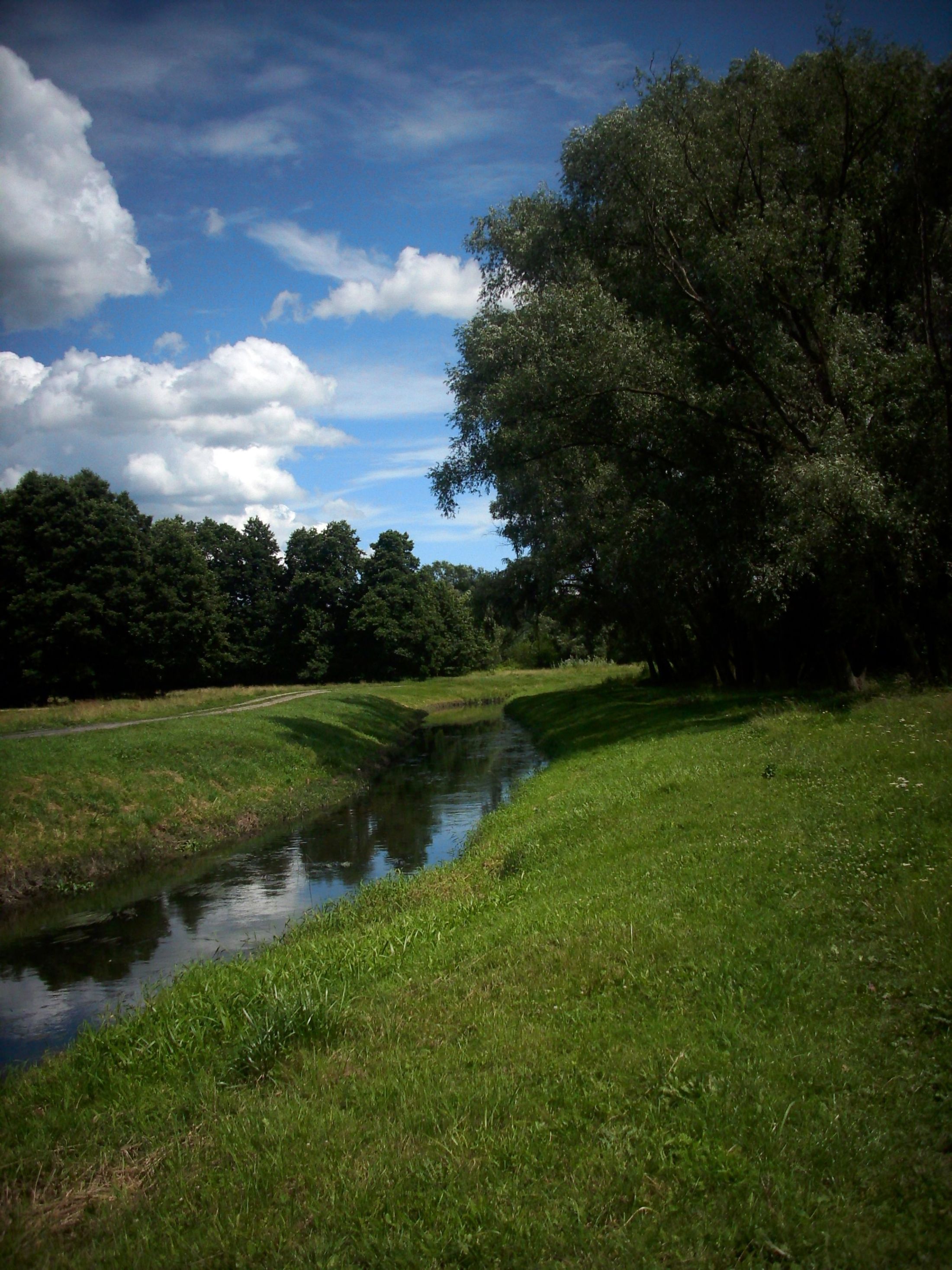 Sierpienica, okolice Mleczarni, 9.07.2012 r.