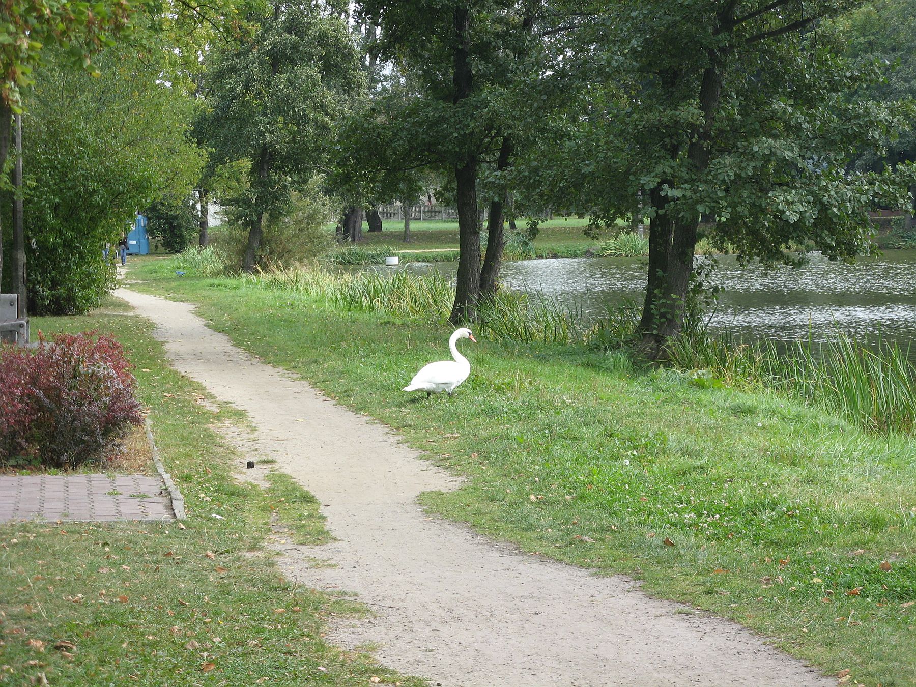 Jezirka, 22.09.2011 r.