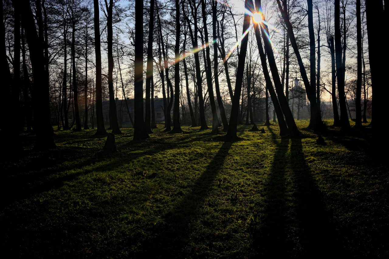 Jesienny poranek, po prawej stronie wida koci farny, 29.11.2014 r.