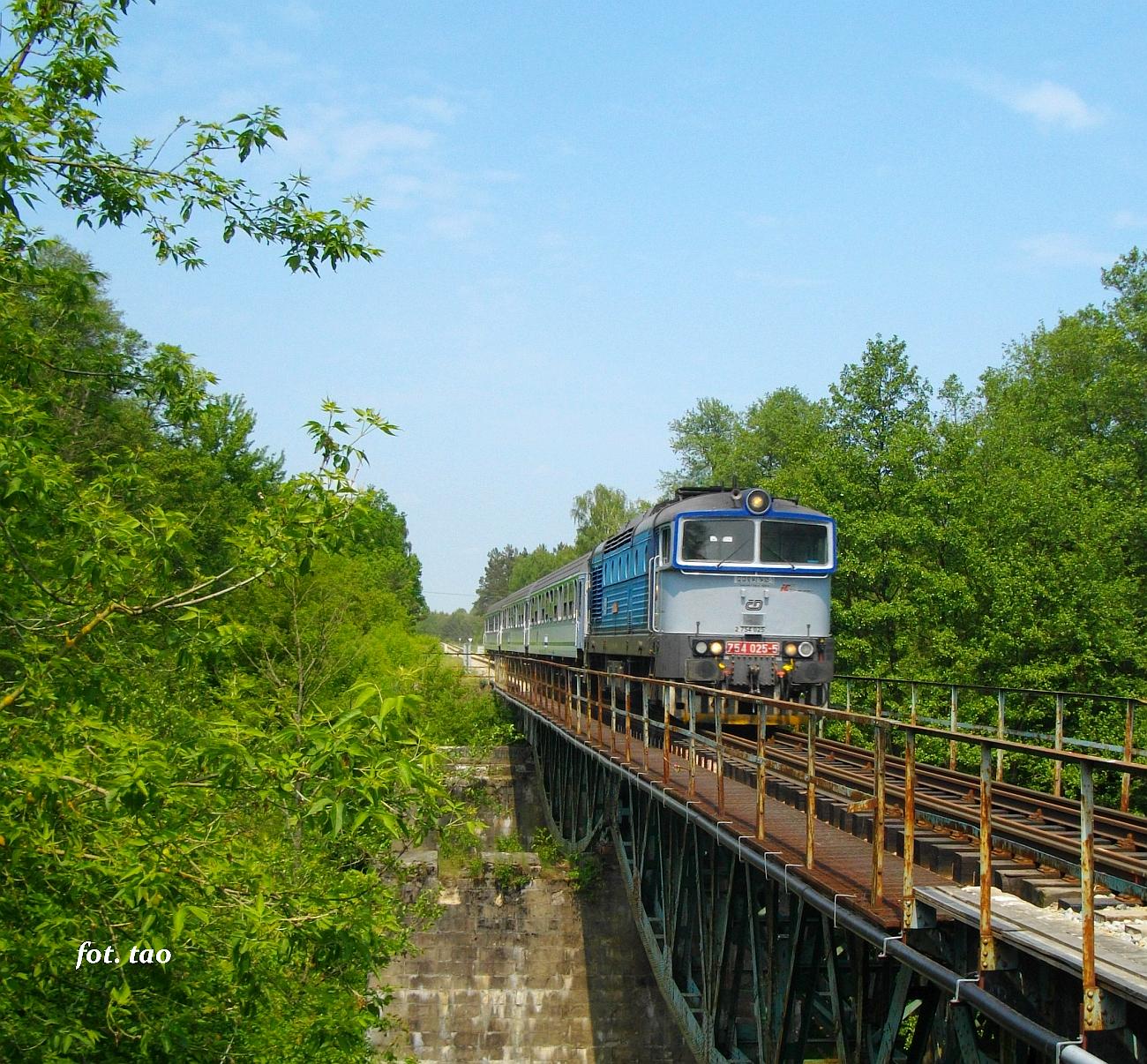 Most kolejowy na rzece Skrwie, okolica sierpeckiego skansenu, maj 2023 r.