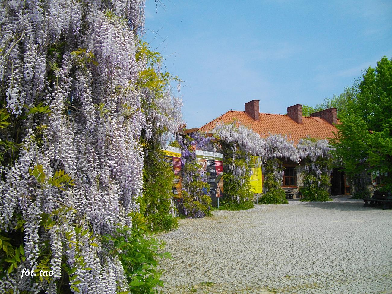 Budynek administracyjny w sierpeckim skansenie, maj 2023 r.