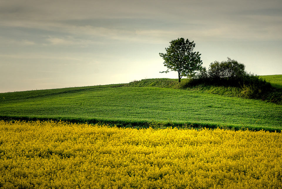 Za Boewem 10.05.2009 r.