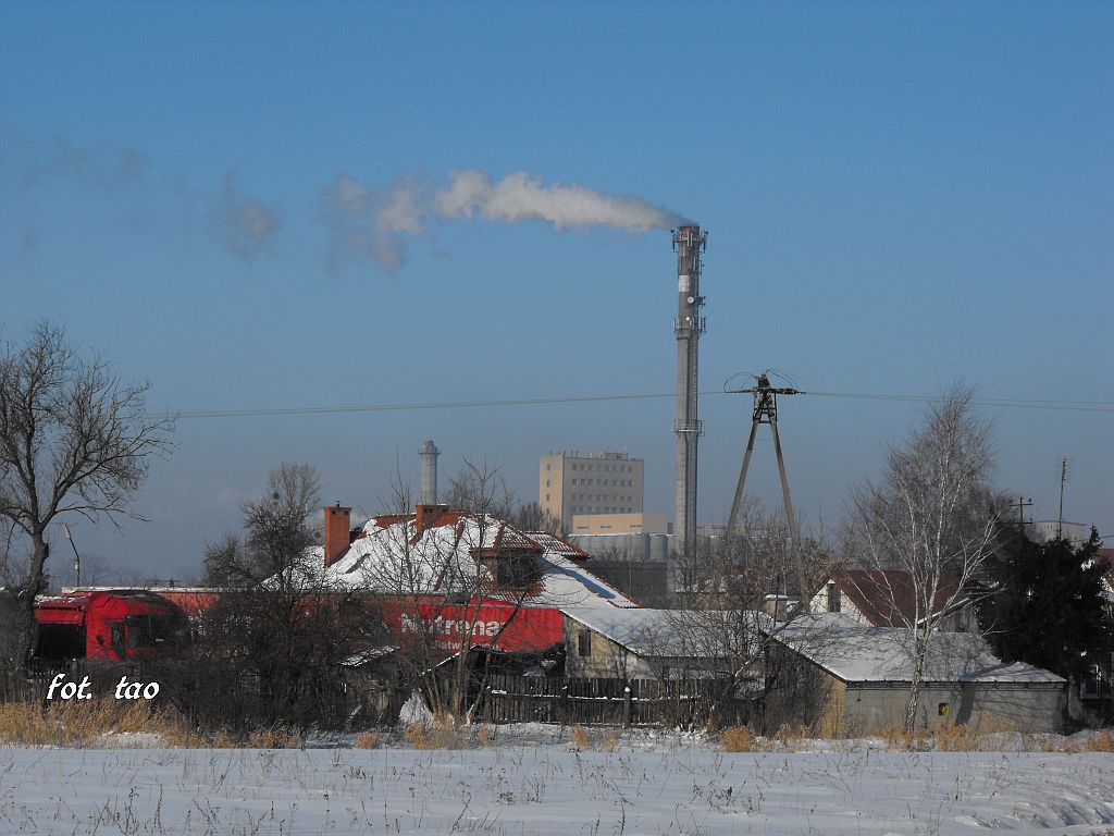 Najbardziej szanowany komin tej zimy, 24.01.2010 r.