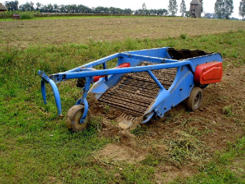 Wykopki w Skansenie 2006. Wspczesna kopaczka.