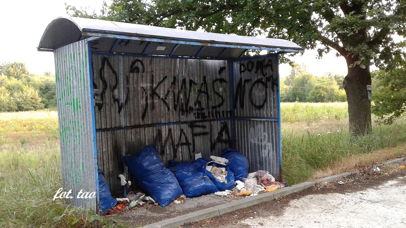 Z ekologi na ty. Tak wyglda czynny przystanek PKS w Kwanie, 28.07.2019 r.