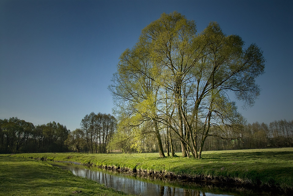 Nad rzek Sierpienic 26.04.2009