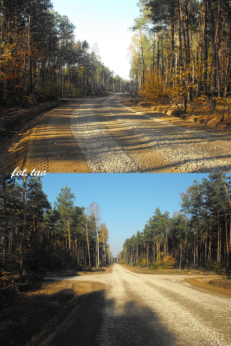 Leśna autostrada - wjazd od drogi krajowej nr 10 na wysokości przystanku PKS Karolewo. Raj dla motocyklistów cross, październik 2013 r.